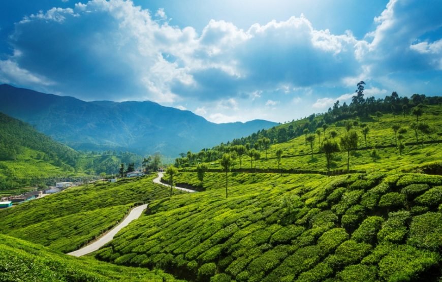 Kerala 4 Night 5 Days Tour