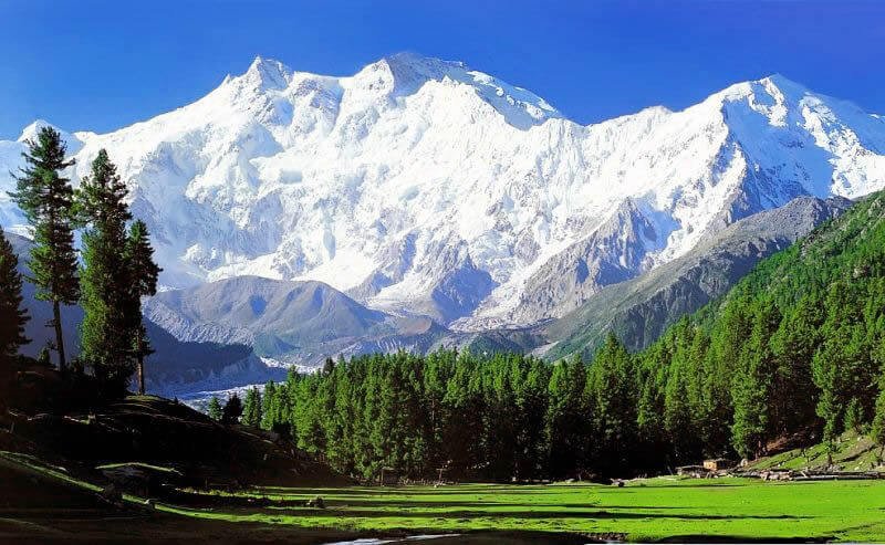 Day 04:-Srinagar–Sonmarg– Srinagar(Day visit)